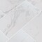 Msi Praia Carrara SAMPLE Glazed Porcelain Floor And Wall Tile ZOR-PT-0578-SAM - alternate 3